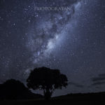 超広角レンズSAMYANG 14mm f/2.8の星景撮影テストでTawharanui Regional Parkへ