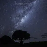 超広角レンズSAMYANG 14mm f/2.8の星景撮影テストでTawharanui Regional Parkへ