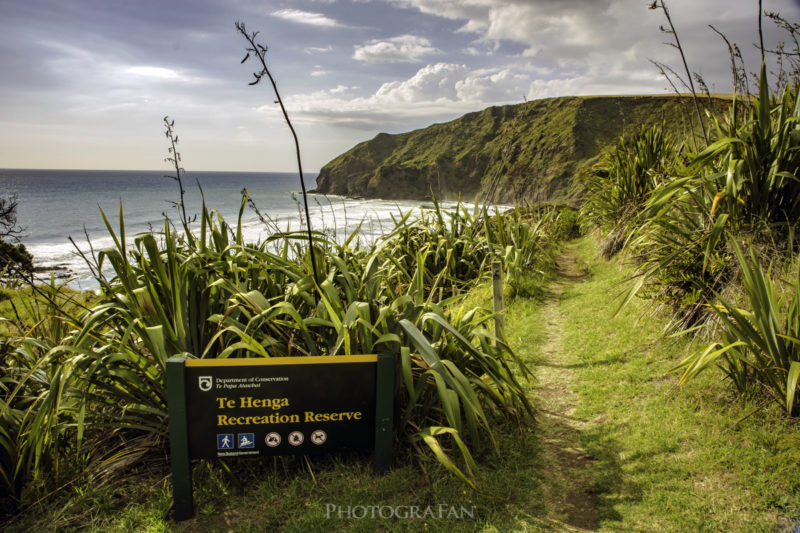 O'Neills Bay