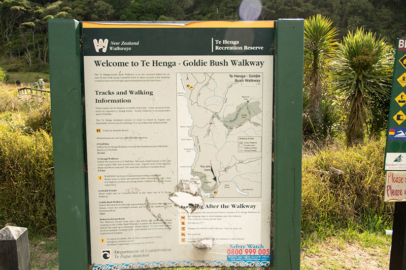 Te Henga Walk Way