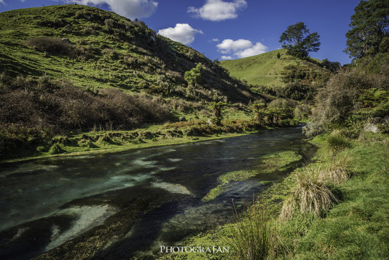 Te Waihou Walkway