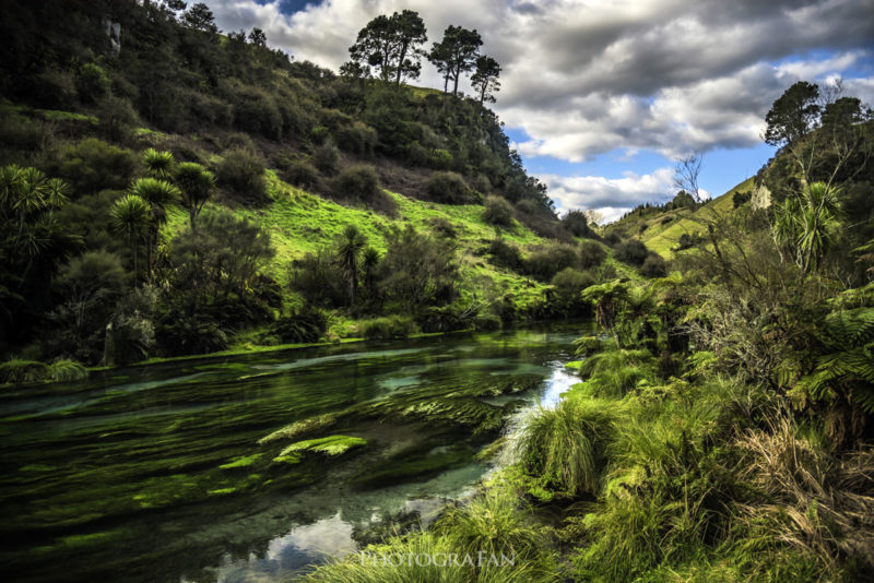 Blue Spring