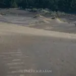 オークランドの巨大な砂丘 Wainamu Sand Dune ニュージーランド