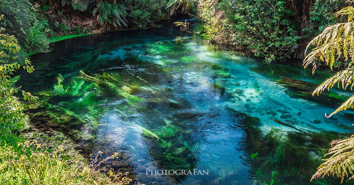 驚くほど綺麗な水が湧き出るニュージーランドの奇跡の青い泉 Blue Spring フォトグラファン