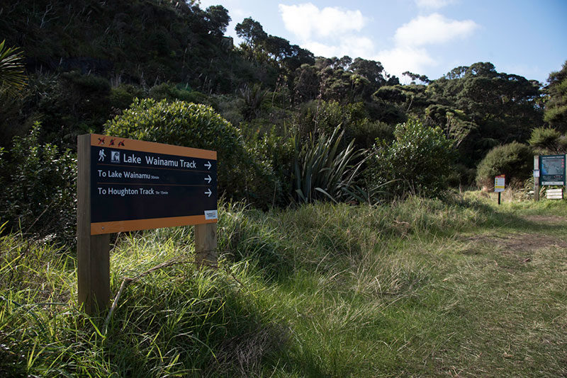 Lake Wainamu Track