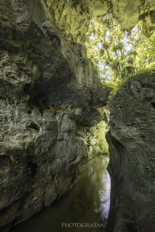 Mangapohue Natural Bridge