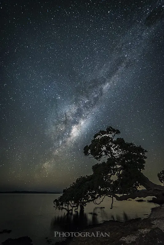 ニュージーランド星空・天の川撮影 – オークランドMaraetai 40分