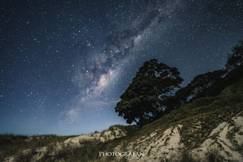 Milkyway & Trees at Pakiri Beach