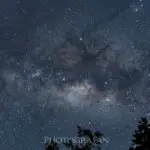ニュージーランド星空・天の川撮影 – リベンジ編オークランドKitekite Falls（滝）