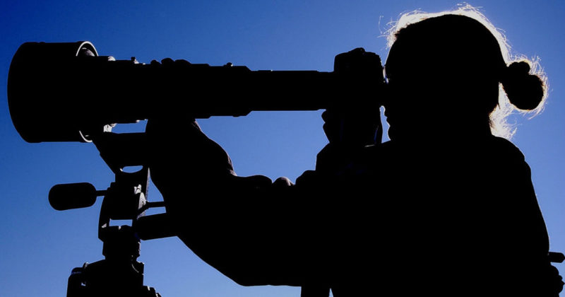 D600 標準 望遠 単焦点　テレコン　まとめ D600 標準 望遠 単焦点 テレコン まとめ