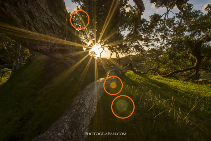 写真のゴーストとは何ですか？
