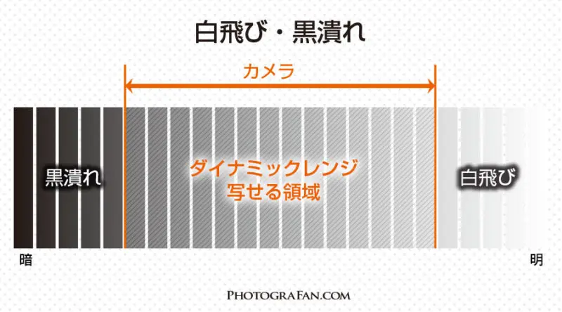 カメラのダイナミックレンジと白飛び 黒潰れの関係 フォトグラファン