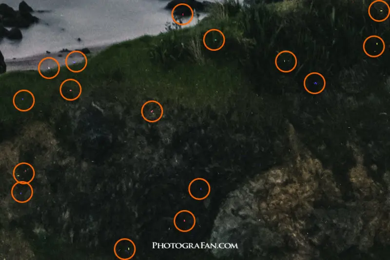 デジタル一眼カメラのノイズの種類と対策 除去方法 フォトグラファン