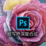 Photoshopで被写界深度合成して全部にピントが合った写真に仕上げる方法