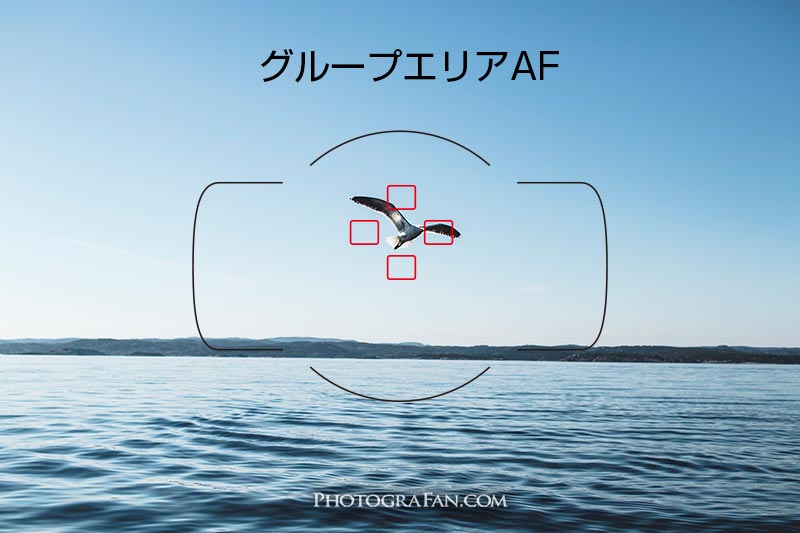 一眼カメラのaf オートフォーカス の種類と被写体別おすすめ設定方法 フォトグラファン