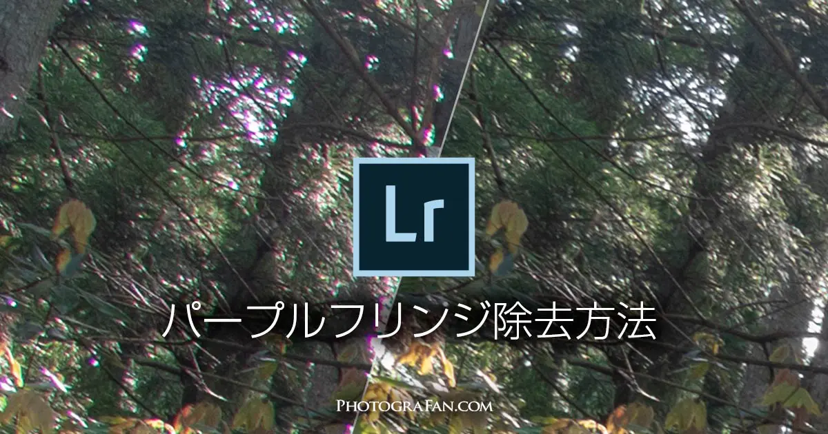Lightroomの色収差補正でパープルフリンジを簡単に除去する方法 フォトグラファン Lightroomの色収差補正でパープルフリンジを簡単に除去する方法 フォトグラファン