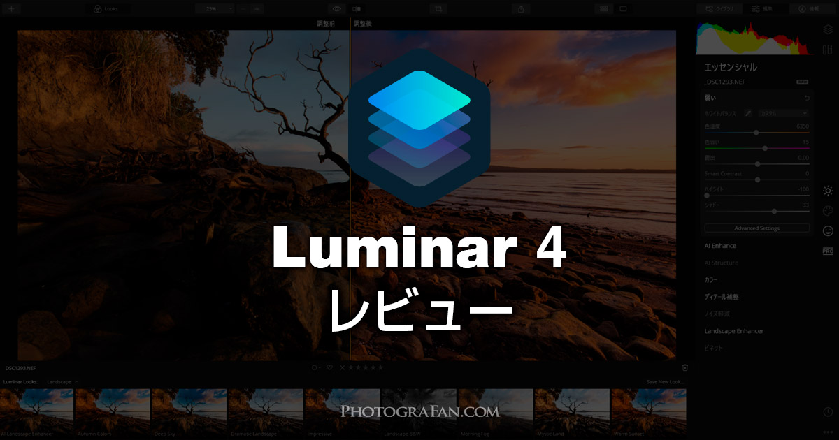 Luminar 4レビュー