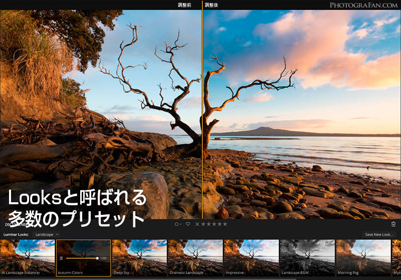 LuminarのプリセットLooks