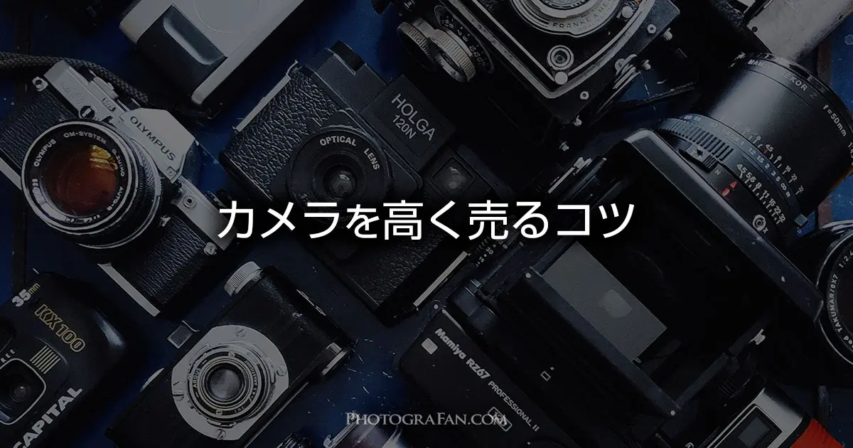 被写界深度とは 3つの要素でボケをコントロールする方法 フォトグラファン