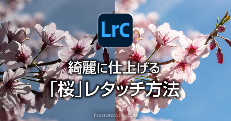 Lightroomで桜を綺麗に仕上げる写真のレタッチ方法
