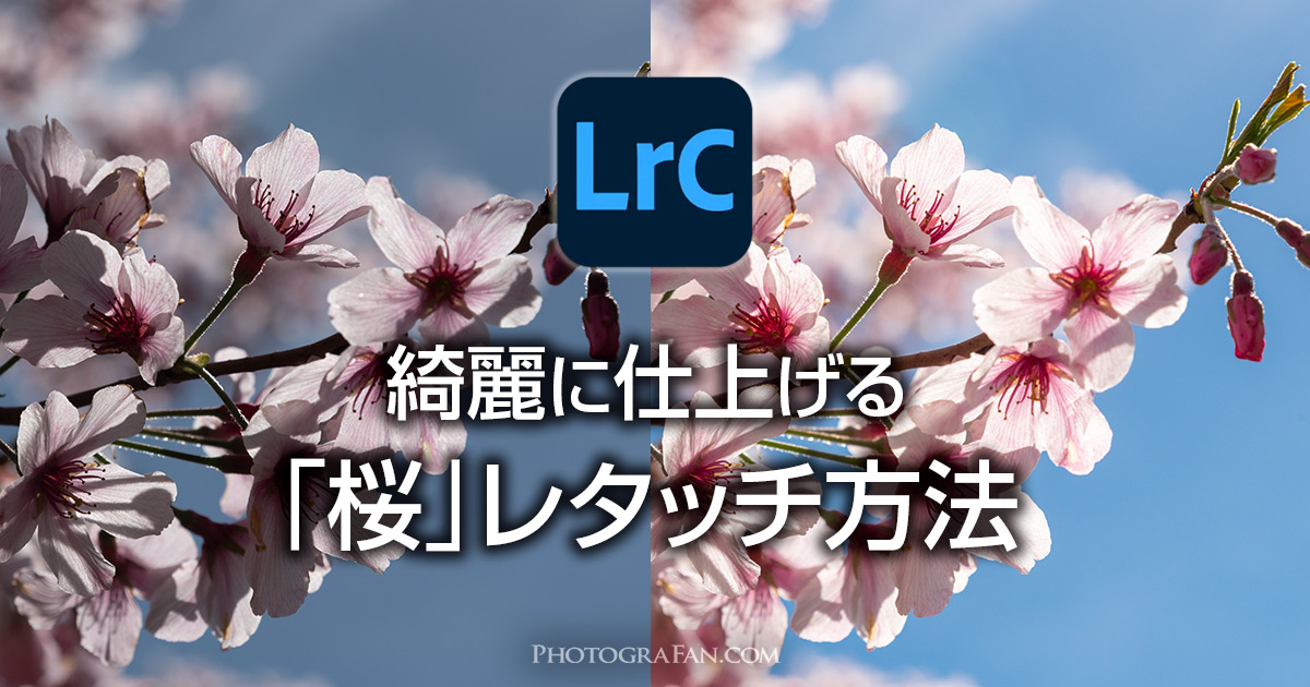 Lightroomの桜の写真レタッチ方法