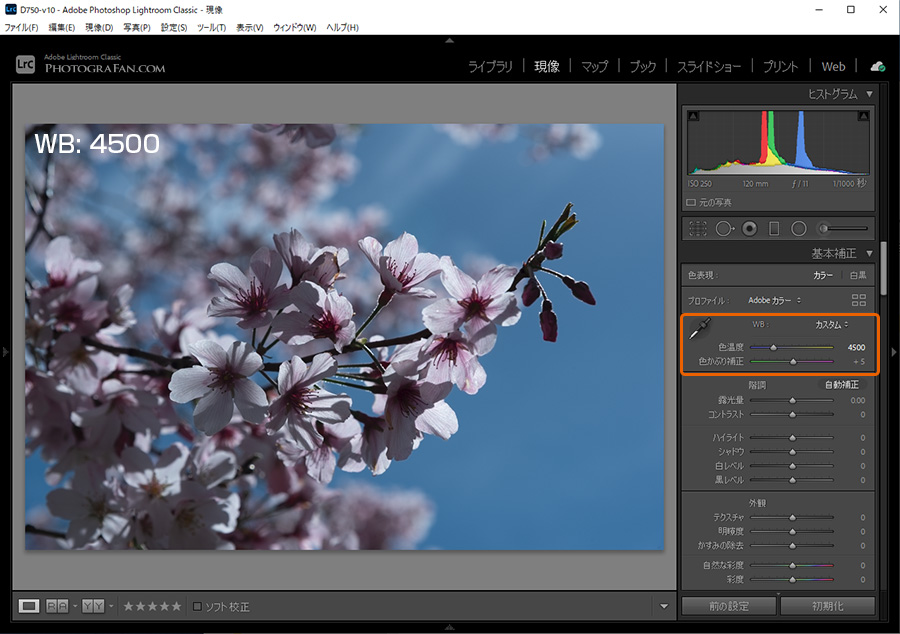 ホワイトバランス: 4500