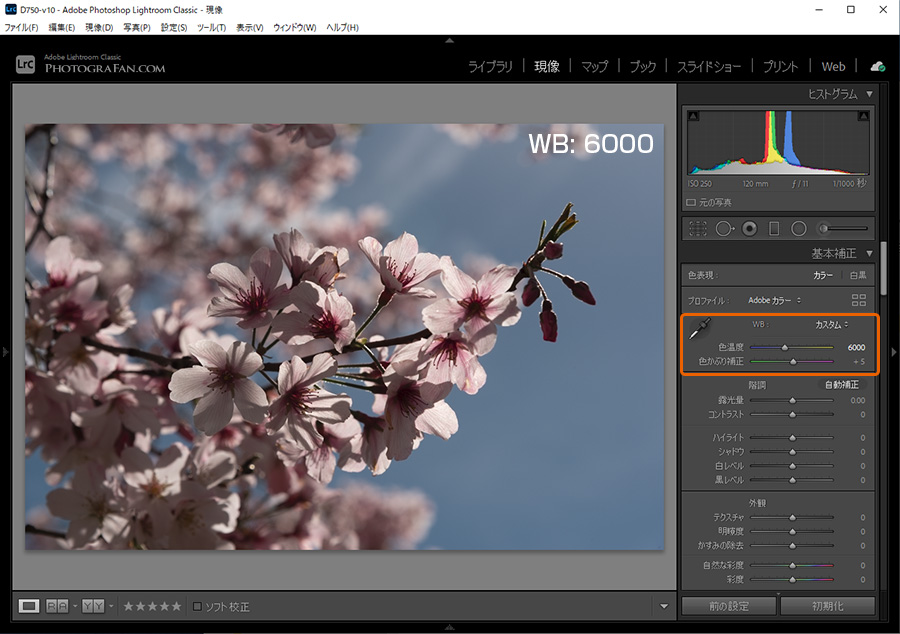 ホワイトバランス: 6000