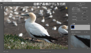 ぶれの軽減フィルターを適用