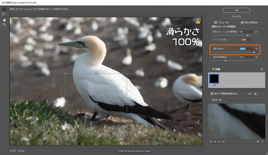 ぶれの軽減:【滑らかさ 100%】