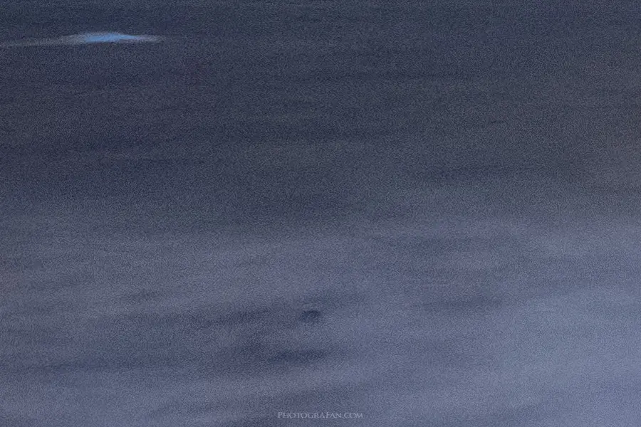 海面のノイズが除去され滑らかに