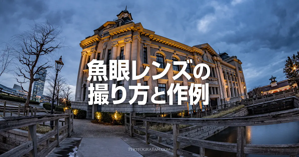 魚眼レンズを使ったインパクトのある写真の効果的な撮り方と作例 フォトグラファン