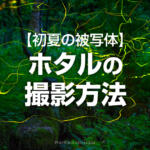 光跡が幻想的なホタルの撮影方法！スローシャッターと比較明合成がポイント