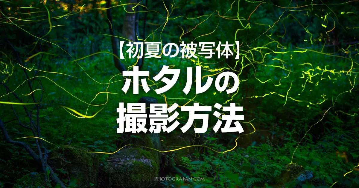 光跡が幻想的なホタルの撮影方法 スローシャッターと比較明合成がポイント フォトグラファン 光跡が幻想的なホタルの撮影方法 スローシャッターと比較明合成がポイント フォトグラファン
