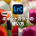 Lightroom Classicの新機能ポイントカラーの使い方