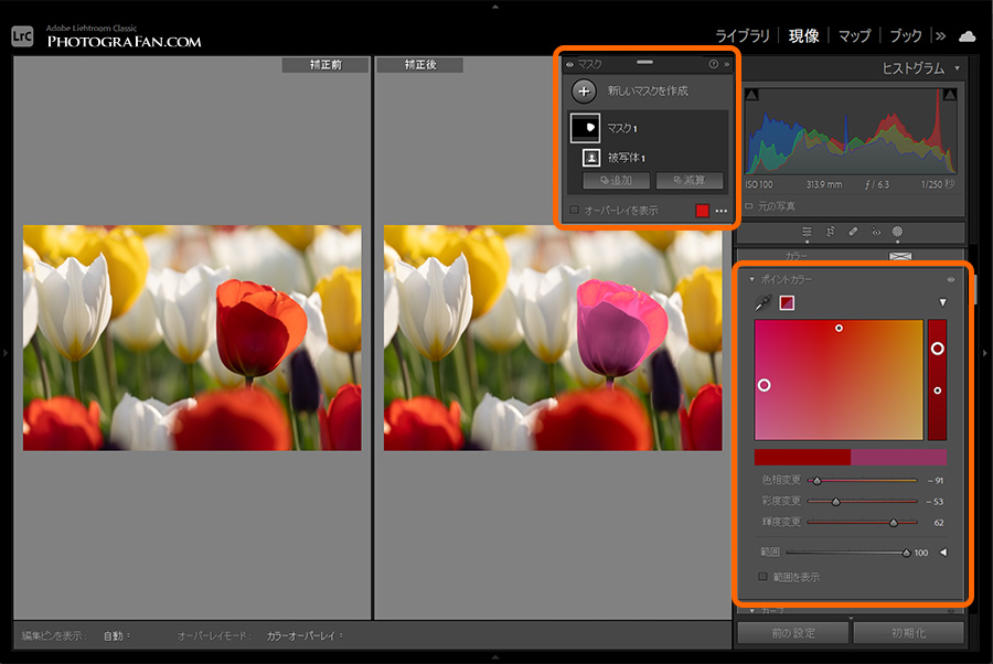Lightroomのポイントカラーはマスクでも使用可能