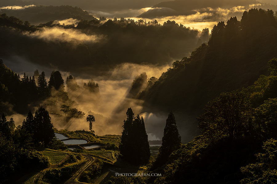 ローキーな写真の作例：朝靄の山古志