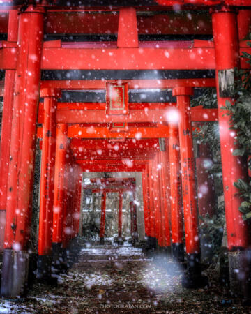 雪の玉ボケの作例