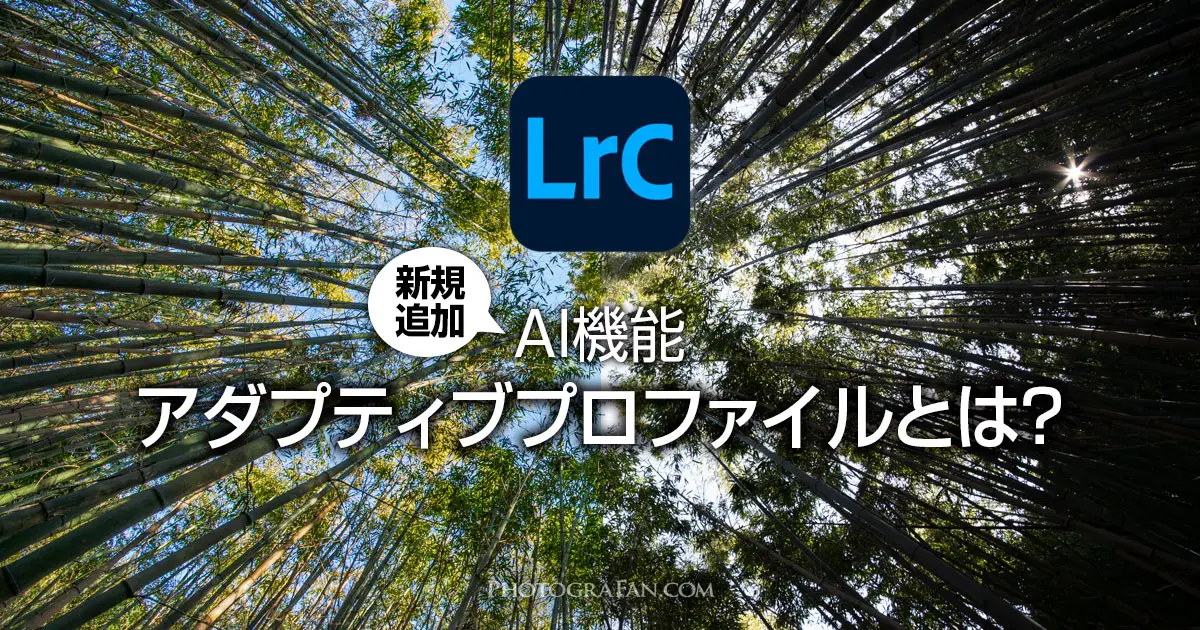 LightroomのAI機能アダプティブプロファイルとは？