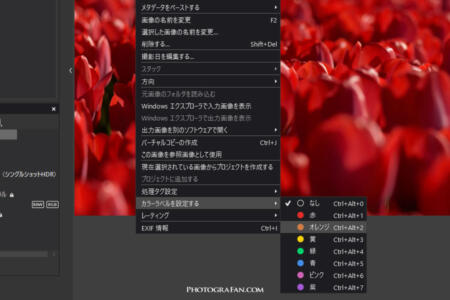 PhotoLab 9の写真管理
