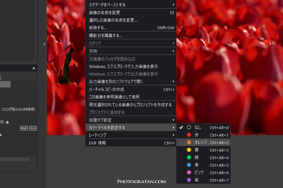 PhotoLab 9の写真管理