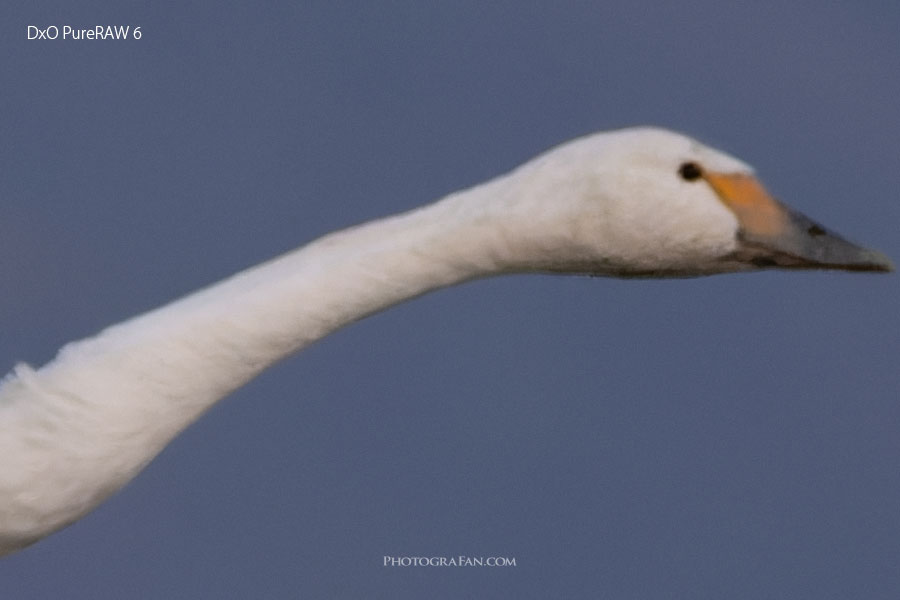 DxO PureRAW 6