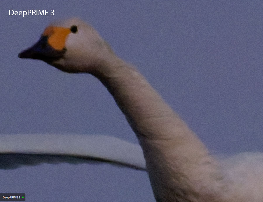 DeepPRIME 3